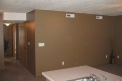 Kitchen viewing hallway-livingroom