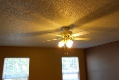 Living Room Ceiling Fan